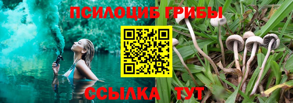 Псилоцибиновые грибы Cubensis Гагарин