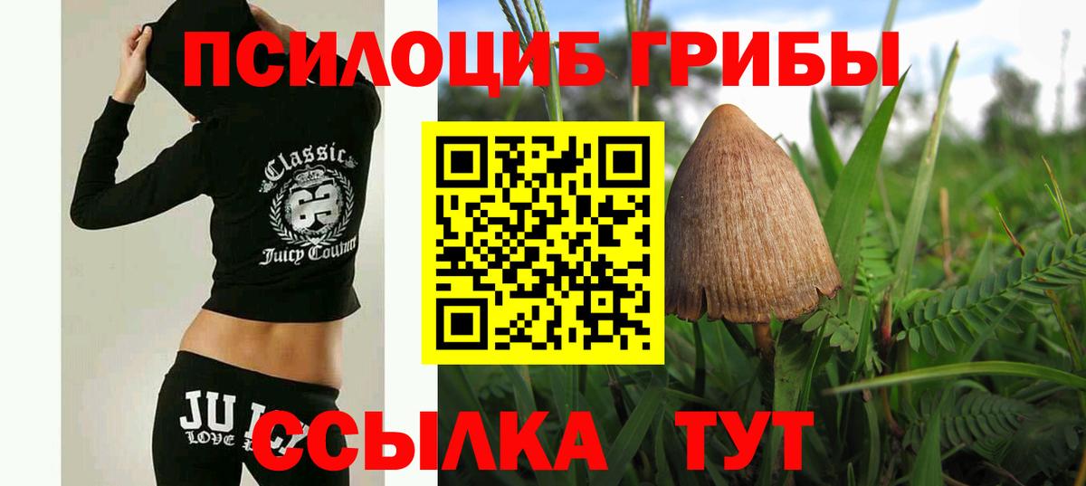 Галлюциногенные грибы Magic Shrooms  Галлюциногенные грибы Psilocybe  Вход с VPN  Гагарин 